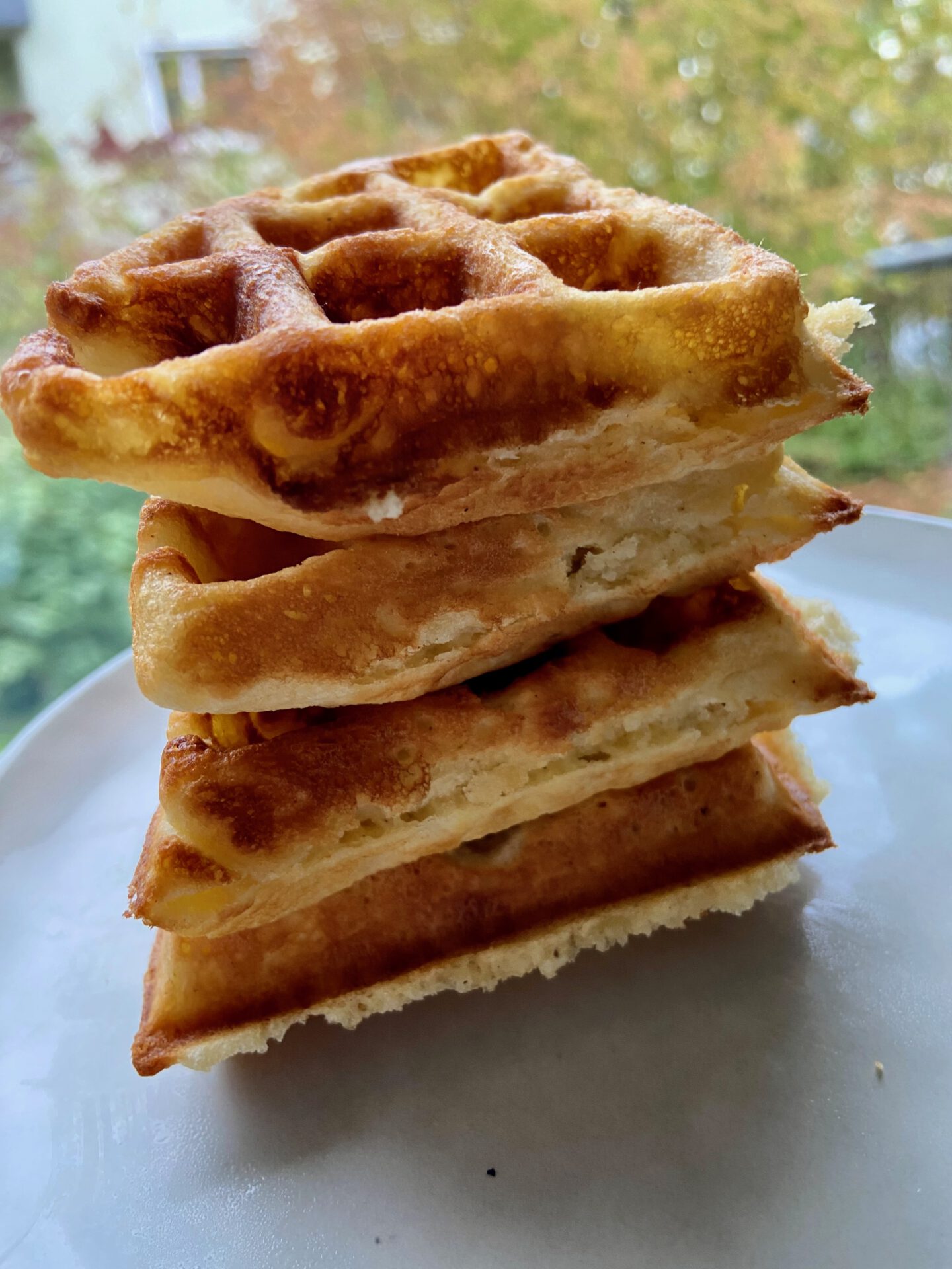 Oatmeal Waffles